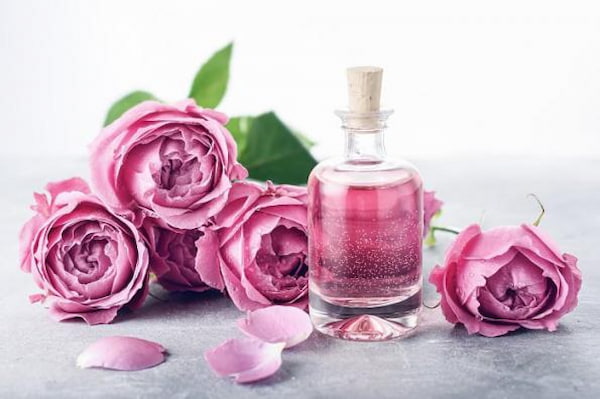 تصویر 5 از قیمت روز گلاب دو آتیشه کاشان